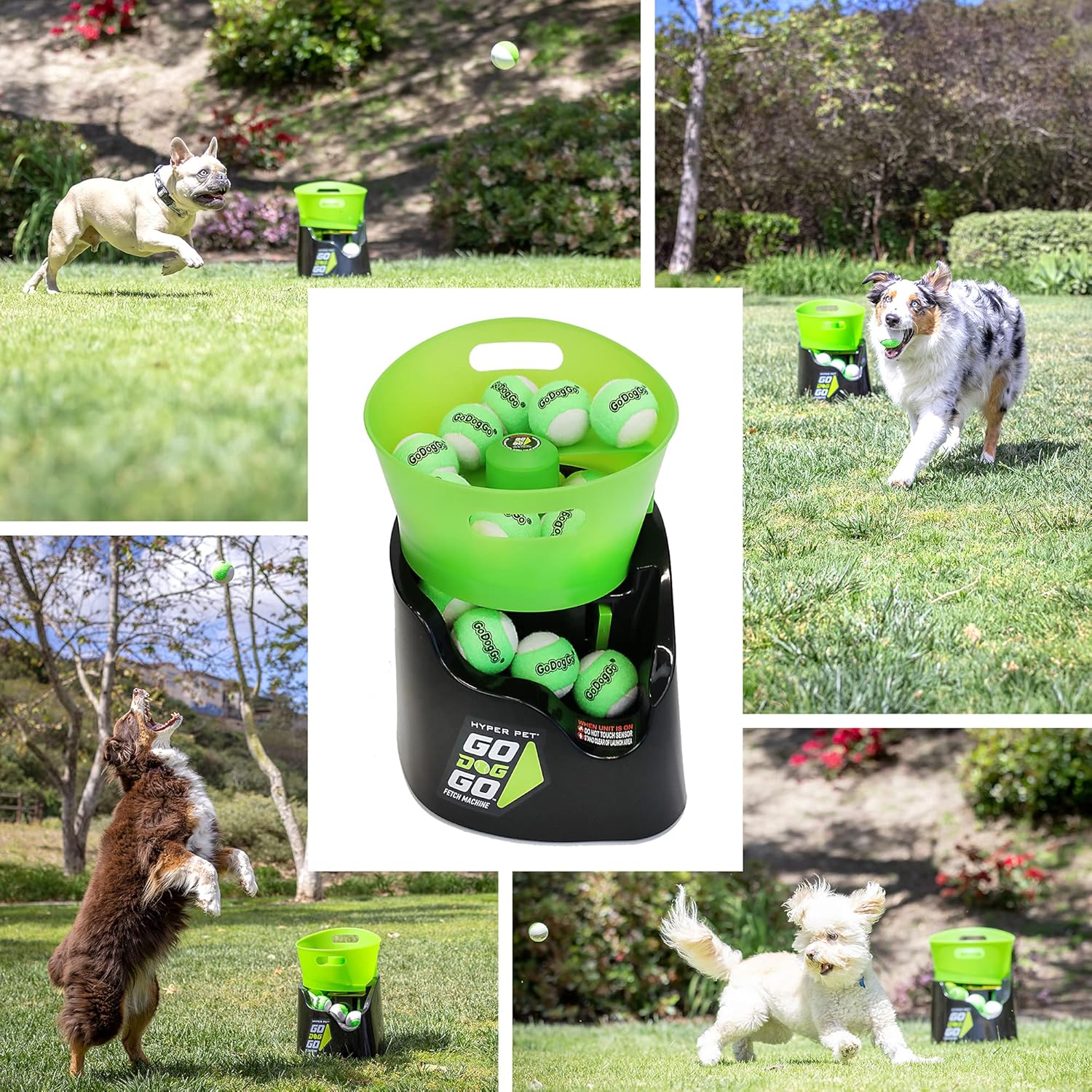 Hyper Pet GoDogGo Automatic Dog Ball Launcher with 5 Balls