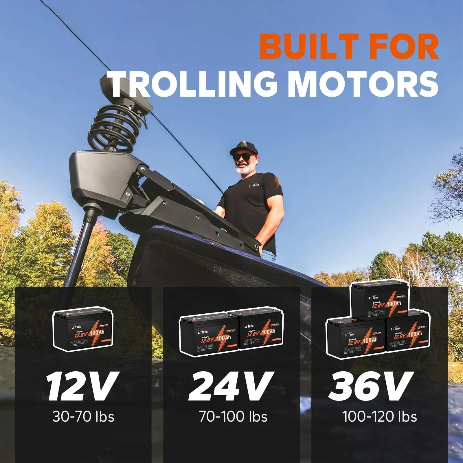 LiTime 12V 100Ah TM LiFePO4 Lithium Battery
