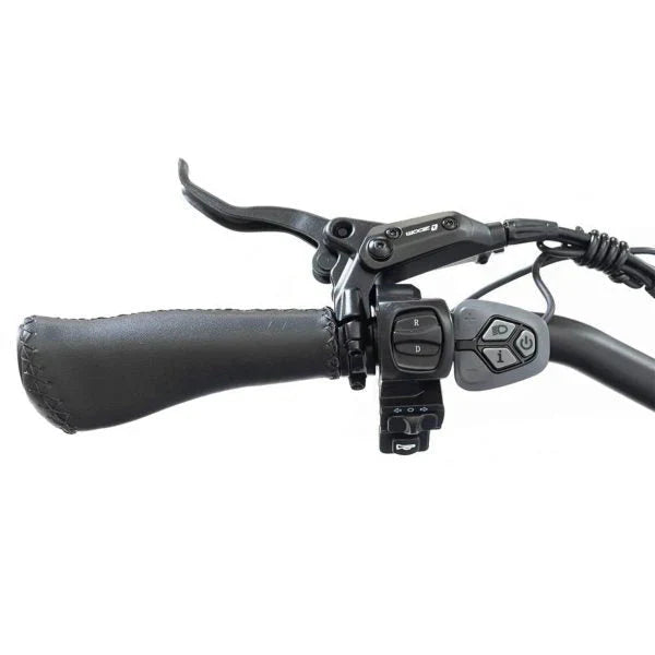 SILVERADO 20 48V/14AH 750W Foldable Fat Tire Electric Trike, 330LBS (96817362)